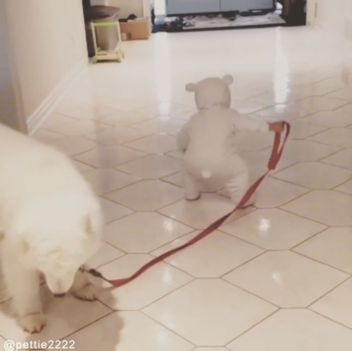 可愛すぎてどっちが飼い主かわからない02