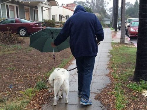 最高の飼い主たち00
