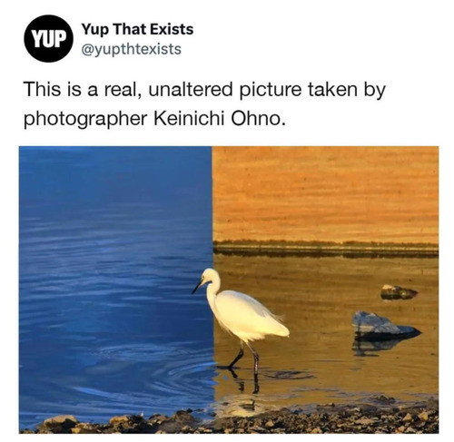 ���μ̿��ϥꥢ��ǹ�������ʤ�03