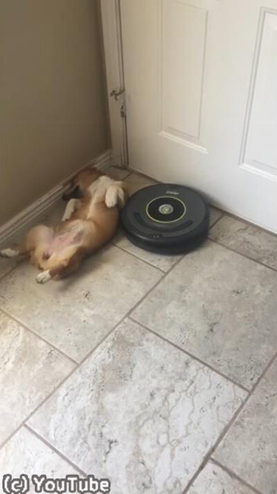 ���ܥå��ݽ�����ư���ʤ���������01