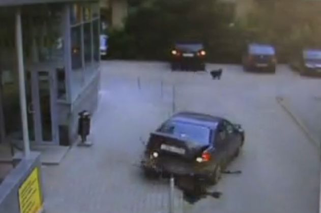 あまりにひどいロシアの酔っぱらい運転 ボコボコに大破していく車 動画 らばq あまりにひどいロシアの酔っぱらい運転 ボコボコに大破していく車 動画 らばq