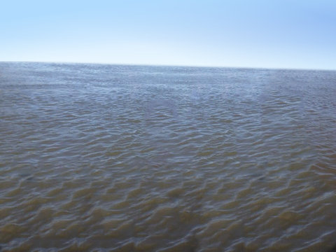 とても写真写りのいい魚06