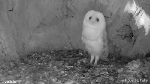 ����ݤ�����ե������λҤɤ�02