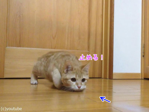 ǭ�����륭���ѡ�00