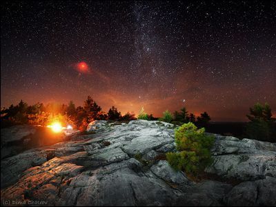 ����֥륹��00