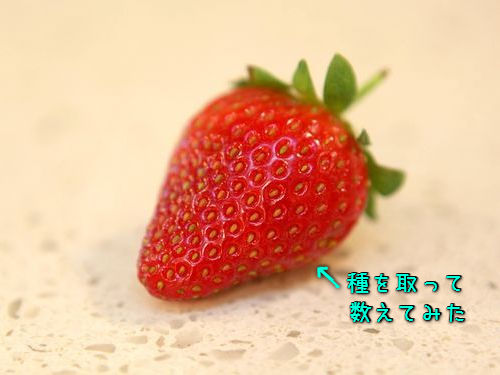 Υˤ204γμ郎ä00