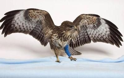 ưʪ�˥��֥�07