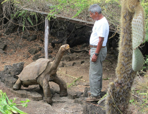 ����������μ̿�23