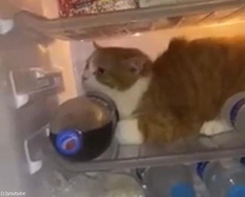 ��¢�ˤ�������ǭ03