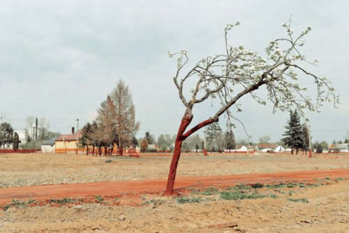 ハンガリーの赤いライン08