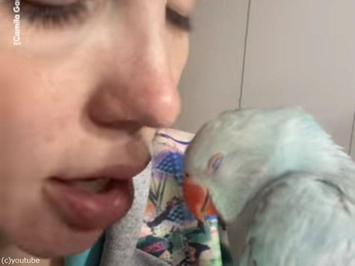 飼い主の女性を愛して病まないインコ…表情も鳴き声も幸せそう（動画）
