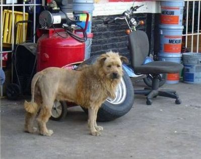 �饤����02