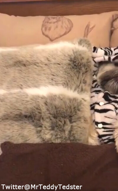 ǯ��ǯ�Ϥβᤴ�����ä����Τ���ʴ��������02