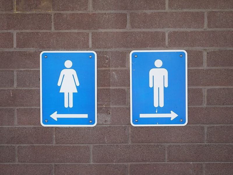 オランダのトイレを見てカルチャーショックを受けた 文化の違いを感じる便器 らばq オランダのトイレを見てカルチャーショックを受けた 文化の違いを感じる便器 らばq