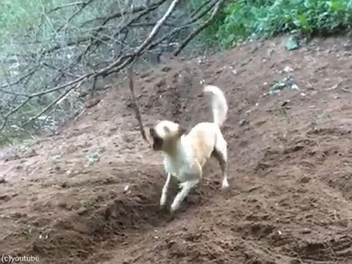 �Ȥ�ͷ�Ӥ����ʸ�05