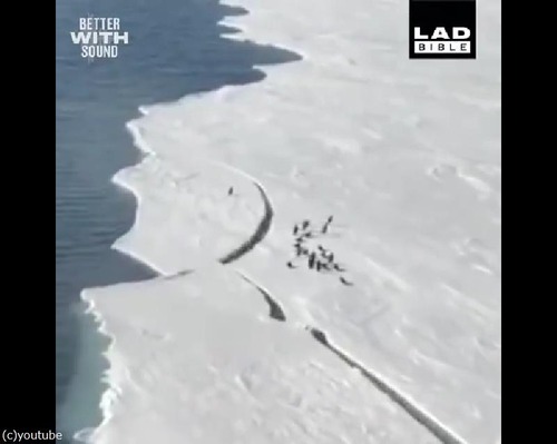 줫Ϥڥ󥮥ĥϥϥ餹ư02