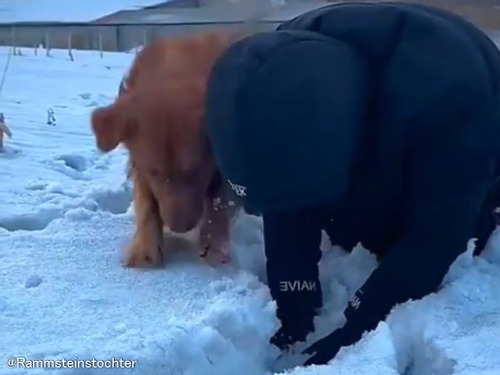 「やっぱり雪遊びをするなら犬が最高と思うとき…」気の合うふたり