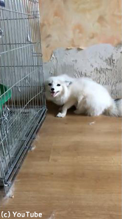 Ķ�Ͳ��ä������ĥͤ���02