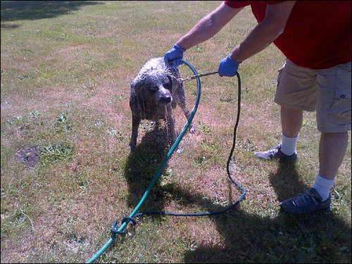 ペンキ缶を乗せた車が事故05