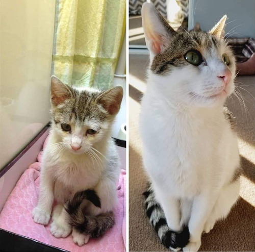 7��˽�����ǭ01