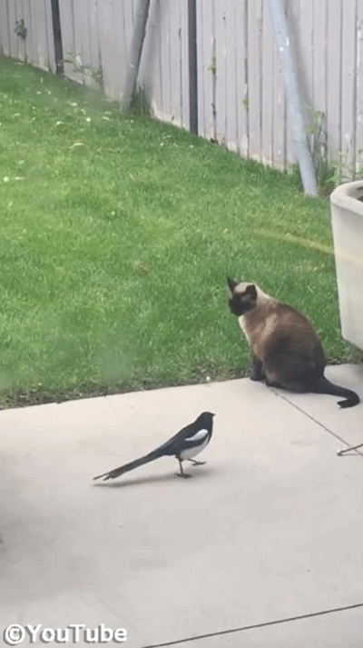 ǭ�Τ��äݤ����ˤʤäƻ������ʤ���������02