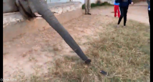 ���ߤ˥����˶�Ť��������05