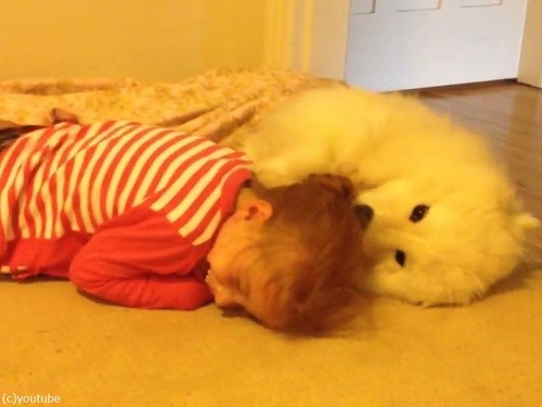 ���λҤȥ��⥨�ɤλҸ�03