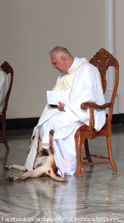 礼拝中に犬が乱入!神父の対応が話題に03