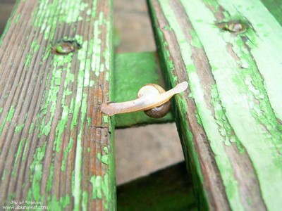 のびのびーーっ05