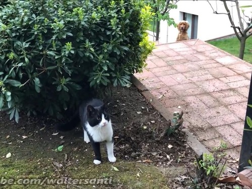 �������줵���ʤ�ǭvs���ꤿ����03