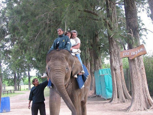 ルハン動物園06