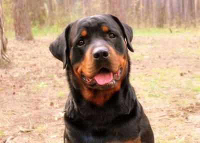 ������Ĺ24