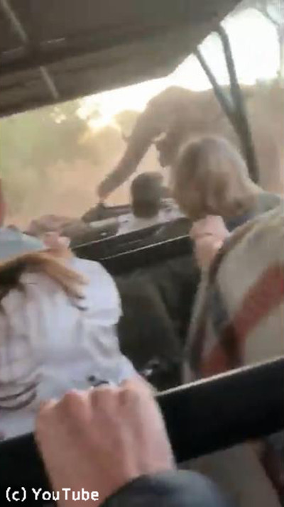 �Ѹ��Ҥ�褻���֤ˡĥ������Ϳʤ��Ƥ�����02