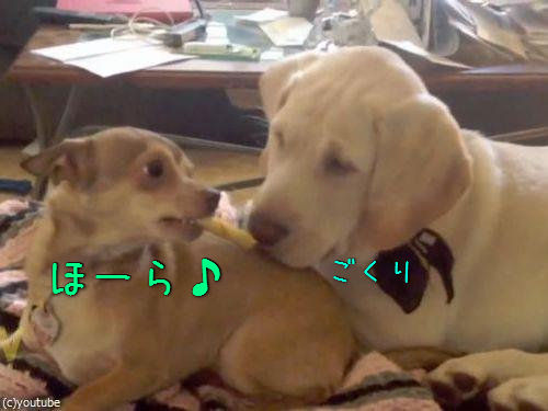 ���餷���θ�00