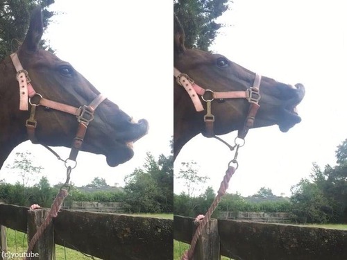 ���ƳѺ����򿩤٤���04