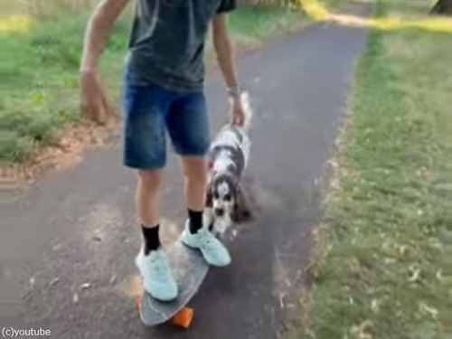 お利口な犬が少年のスケートボードを押してくれる（動画）