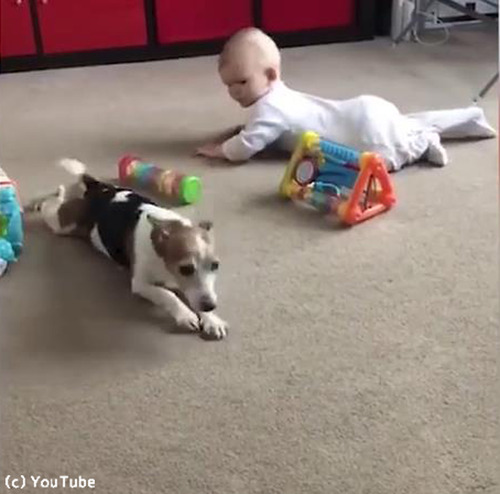 �֤����˥ϥ��ϥ��򶵤��븤02