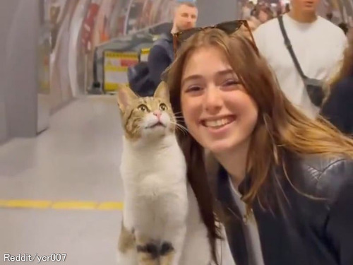 駅の改札に『猫の像』があると思ったら…「これ、本当の猫だ!?」