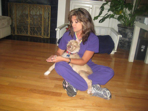 子犬を拾った19