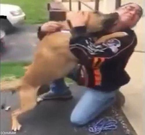 盗まれた犬と2年後に再会02