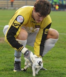 猫を助けたキーパー02