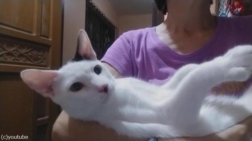 �ߥ륯�������ǰ���˥��04