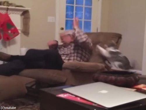 猫の前で死んだふりをしてたら…06