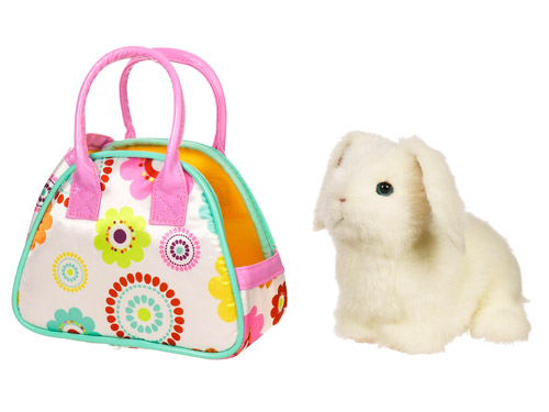 犬の整髪の意味02