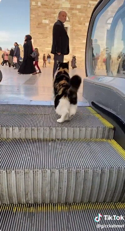 ǭ���������졼�������ꤳ�ʤ�04