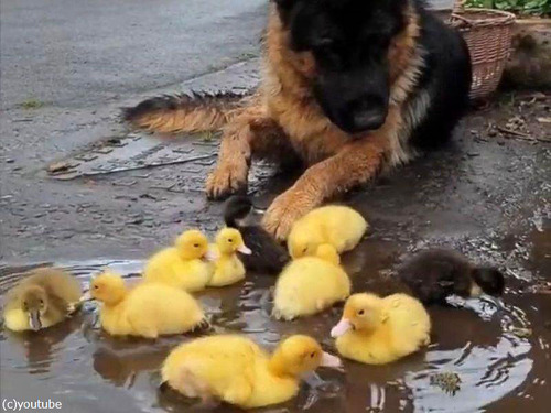 �ҥ�Ļ�򸫼�븤01