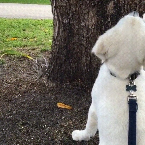 �ڤ򸫾夲�븤�֥ꥹ���ɤ��Ԥä��Τ��ʤ���03