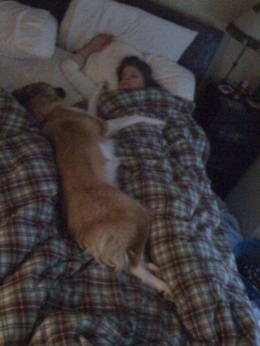 ���Ȱ��˿����02