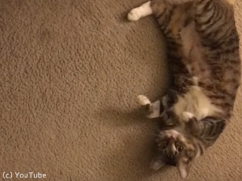 ��ʢ����������ʹ���Ȥ��ֻ�����ǭ��07