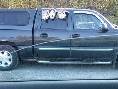 吹雪の日の隣の車がかわいかった02